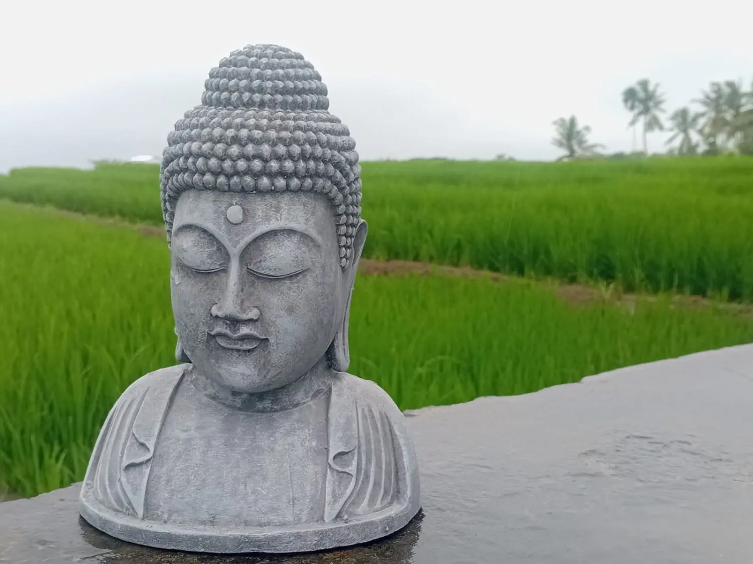 Artikelbild 2 des Artikels “Plakette Buddha Kopf, 21,5cm Höhe | Steinguss “